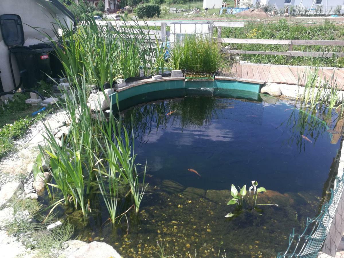 Apartmany 154 Lipno nad Vltavou Dış mekan fotoğraf